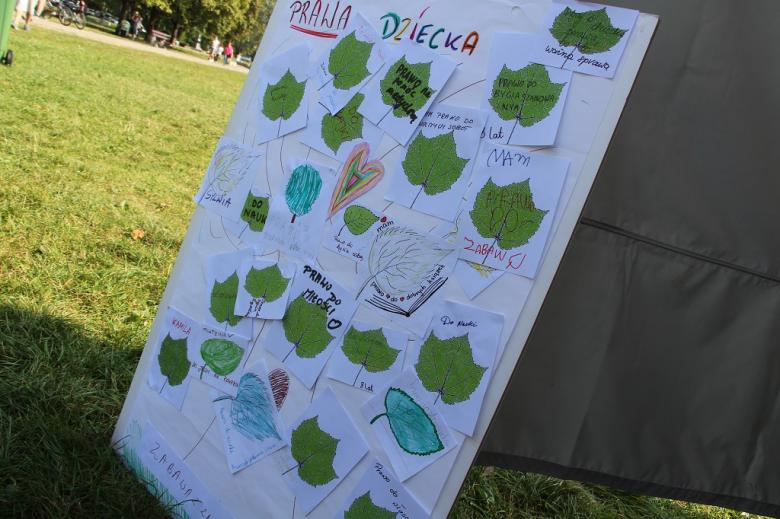 zdjęcie: plansza z narysowanym drzewam, na którym przyklejone są pokolorowane liście