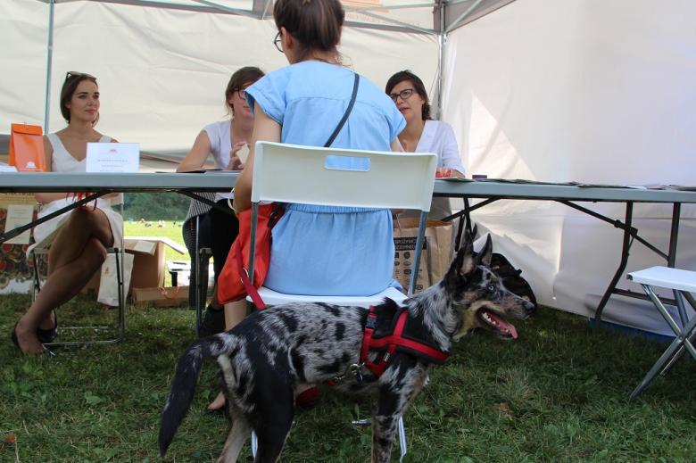 zdjęcie: na pierwszym planie widać psa, za nim na krześle siedzi jego właścicielka i rozmawia z trzema kobietami