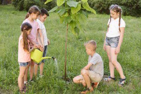 dzieci podlewają drzewko